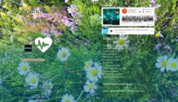 Jody_Wisternoff_screenweaver_2018