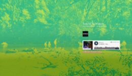 Freestyle_screenweaver_2018-08