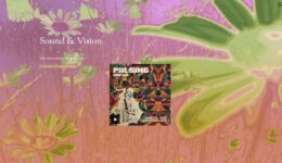 Dehara_screenweaver_media_2019-01