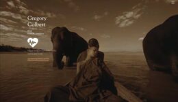 Parallels_Innocence_screenweaver_media_2019-01