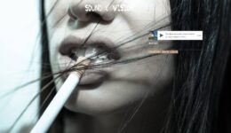 The_Smooth_screenweaver