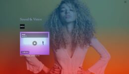 RadioDoc_screenweaver