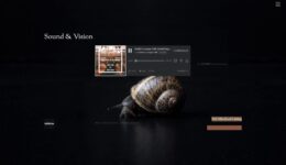 Downtempo_Universe_screenweaver_media