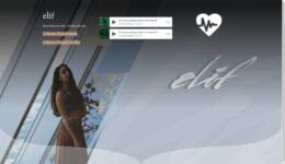 Elif_Anjunadeep_screenweaver_media_2019-07-06